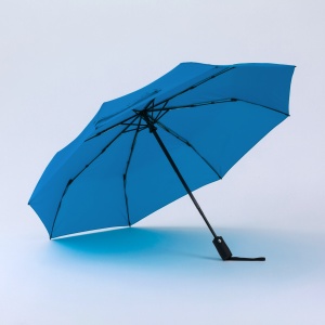 CO Primo Everyday Set: sticlă de apă 550 ml și umbrelă complet automată Harvard
