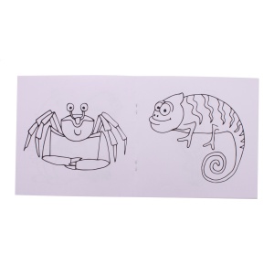 ColoBook - carte de colorat personalizata, animale - Img 5