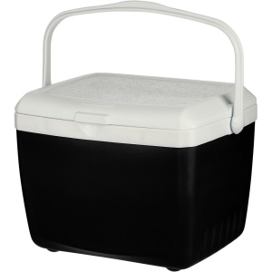 Cool box 13 l