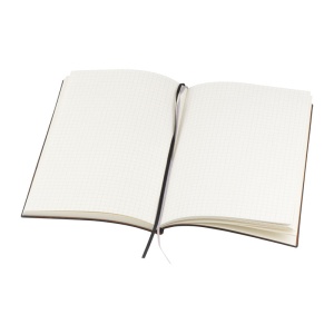 EA Notes A5 Mesen