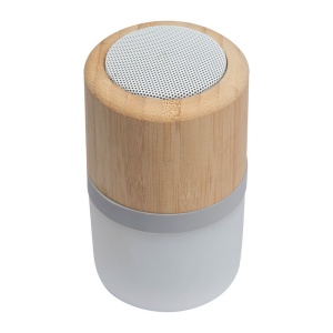 Easy™ Bluetooth speaker Haarlem