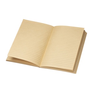 Easy™ Notes A5 Mesen