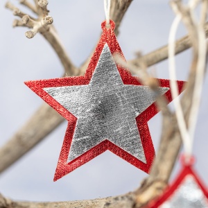 mak™ Christmas Decoration Set Rimol