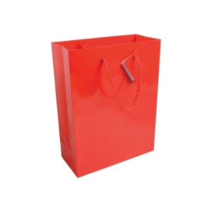 ON Sacoșă de cumpărături din hârtie laminată, 157 g/m2, cu clin și întăritură la bază, mânere tip șnur - Img 5