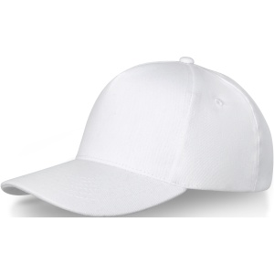PF™ Doyle 5 panel cap