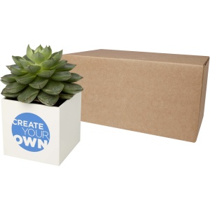 PF™ Hey Pots aluminium planted pot - succulent