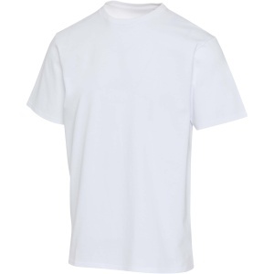 PF Lucas 260 g/m2 unisex OCS organic oversized t-shirt