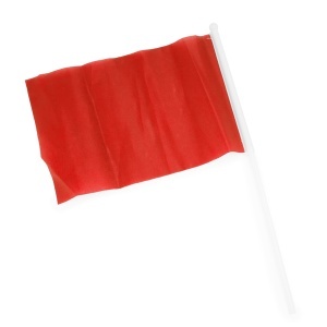 STA Celeb Flag - Img 10