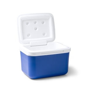 STA Cooler Bag - Img 4