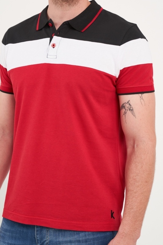Kenvelo - Tricou barbat polo multicolor - Img 2