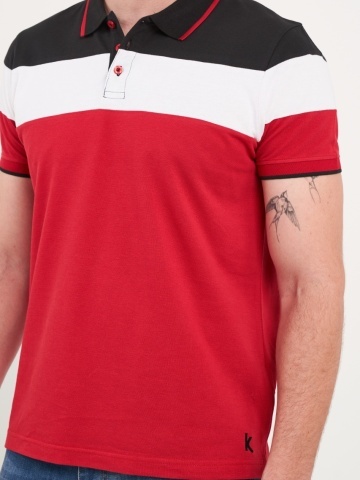 Kenvelo - Tricou barbat polo multicolor - Img 2