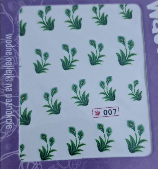 Abtibild pe baza de apa STZ -007