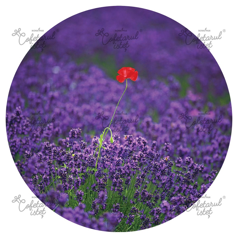 Vafa imprimata Flori Model 3, Ø 20 - Cofetarul Istet