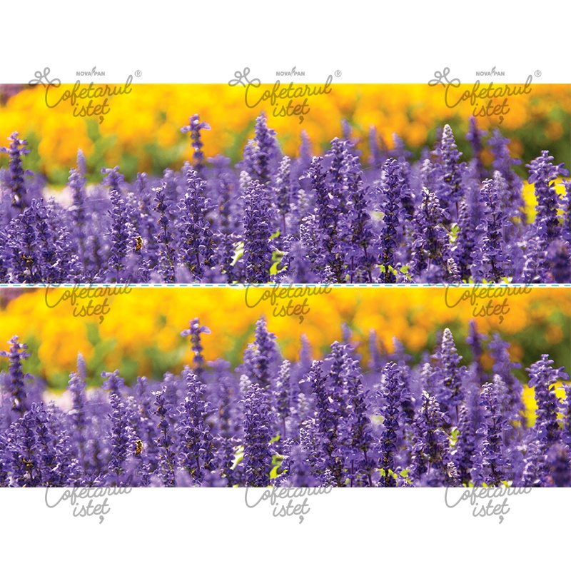 Vafa imprimata Flori Model 4 - 2 Decoruri Laterale Tort 10 x 28 cm, A4 - Cofetarul Istet