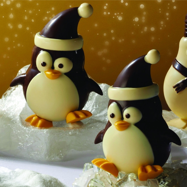 Pinguin 3D 13x10.5xh17cm - Kit Matrite Plastic 2 Subiecte