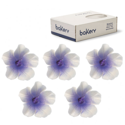Decor Zahar - Azalee Alb-Violet R 4 cm, 12 buc