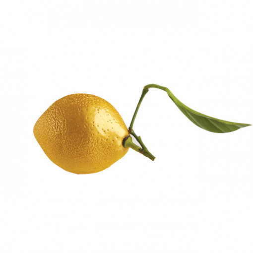 Lamaie/Lime 3D, Ø5.3xH7cm - Szilikon forma Monoportii Grolet, 8 üregű szilikon forma