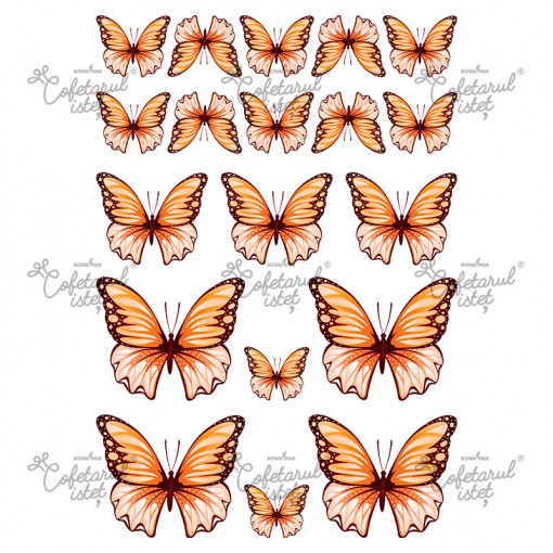 Printed Sugar Paste Butterflies Model 3 Orange, 19 Decorations Ø 3.5 - 8 cm, A4 - Confectioner Istet