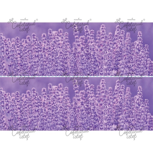 Printed Sugar Paste Flowers Model 5 - 2 Side Decorations Cake 10 x 28 cm, A4 - Confectioner Istet