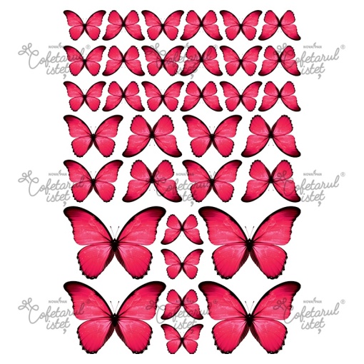 Printed Waffle Butterflies Model 2 Pink, 34 Decorations Ø 3.5 - 8.5 cm, A4 - Confectioner Istet