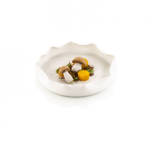 Silicon mould Silikomart NaturaE Mushroom 5.9 x 3.6 x H 1.8 cm, 20 ml, 16 cavities - Img 1