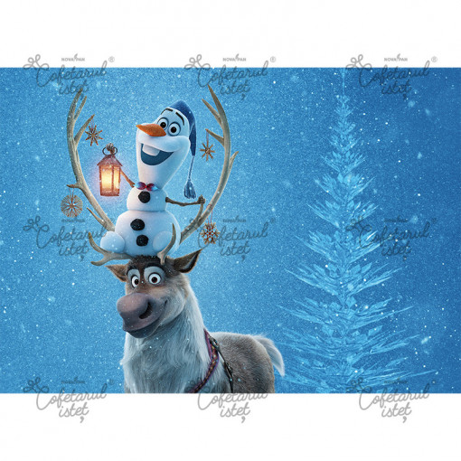 Vafa imprimata Frozen Model 2, A4 - Cofetarul Istet