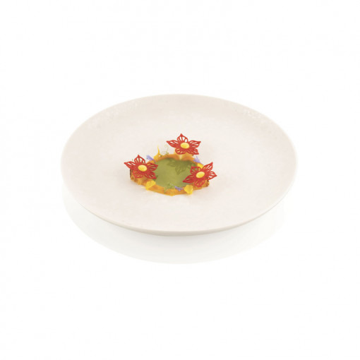 Силиконов калъп Silikomart NaturaE Botanica Ø 8,4 - 4,6 x H 0,2 cm, 9+25 кухини
