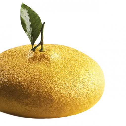 Lamaie/Lime 3D, Ø18xH7cm - Силиконова торта 3D Grolet