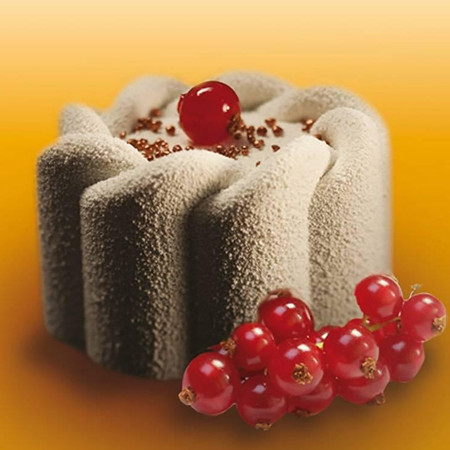 Форма Pavoflex 60x40cm, Ø7xh4cm, 24 кухини, 130 ml