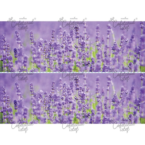 Printed Sugar Paste Flowers Model 3 - 2 Side Decorations Cake 10 x 28 cm, A4 - Confectioner Istet