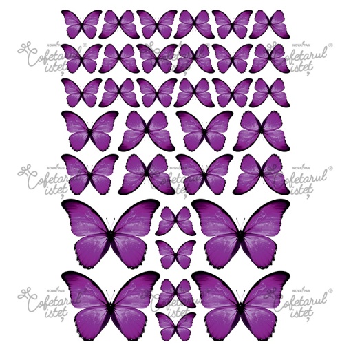 Printed Waffle Butterflies Pattern 2 Purple, 34 Decorations Ø 3.5 - 8.5 cm, A4 - Confectioner Istet