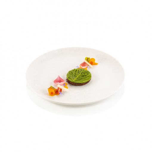 Силиконов калъп Silikomart NaturaE Зеле Ø 7 x H 0,5 cm, 12 ml, 12 кухини