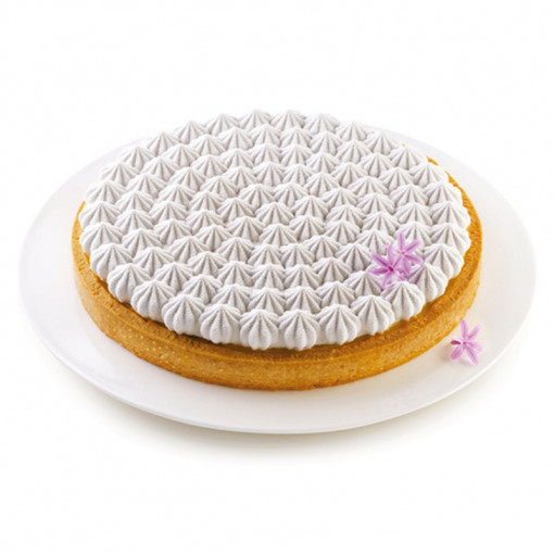 Set Meringue Tarte Meringue Ø 25 cm, 1 Microperforated Branch + Silicon Tin