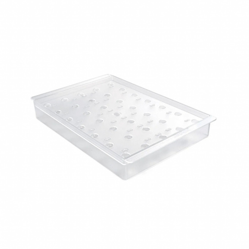21 Products on Sticks, 36 x 23.5 x H 4.8 cm, Plastic Transparent