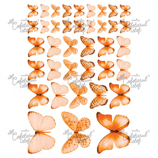 Printed Sugar Paste Butterflies Model 1 Orange, 38 Decorations Ø 2.5 - 8 cm, A4 - Confectioner Istet