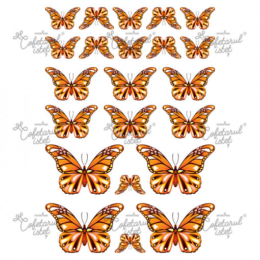 Printed Sugar Paste Butterflies Model 4 Orange, 22 Decorations Ø 3.5 - 9 cm, A4 - Confectioner Istet