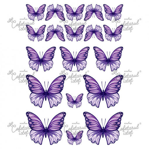 Printed Sugar Paste Butterflies Pattern 3 Mov, 19 Decorations Ø 3.5 - 8 cm, A4 - Confectioner Istet