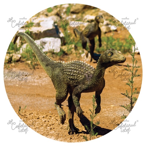 Printed Sugar Paste Dinosaurs Dinosaurs Model 2, Ø 20 cm - Confectionary Istet