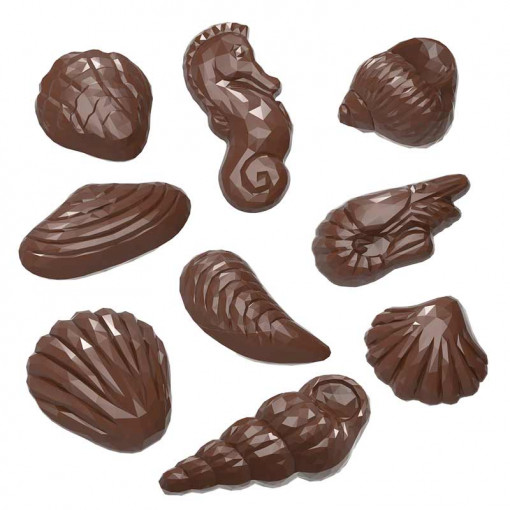 Polycarbonate mould Sea Creatures 22 Chocolate Pralines 4 - 6.5 gr