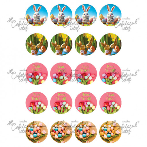 Sugar Paste Paste Model 1, 20 Decorations Ø 4.5 cm, A4 - Confectioner Istet