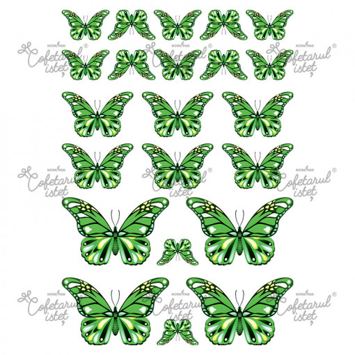 Printed Sugar Paste Butterflies Model 4 Green, 22 Decorations Ø 3.5 - 9 cm, A4 - Confectioner Istet