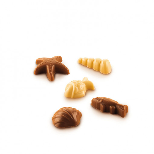 Силиконова форма Praline Praline Subjects Marine 3,5 x 3,2 x H 1,6 cm, 12 кухини (SCG059)
