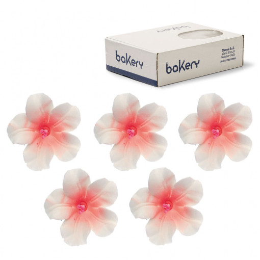 Decor Zahar - Azalee Alb-Frez R 4 cm, 12 buc