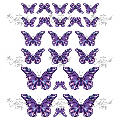 Printed Sugar Paste Butterflies Pattern 4 Movements, 22 Decorations Ø 3.5 - 9 cm, A4 - Confectioner Istet