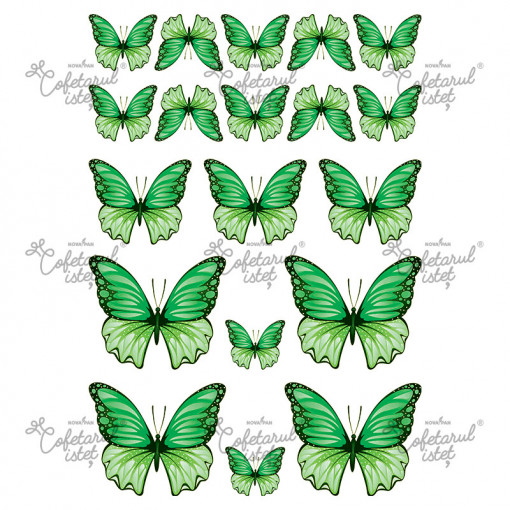Printed vase Butterflies Model 3 Green, 19 decorations Ø 3.5 - 8 cm, A4 - Confectioner Istet