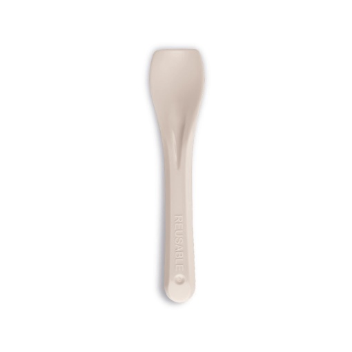 Reusable PS Ice Cream Spoon, 9.5 cm, Set 1 kg