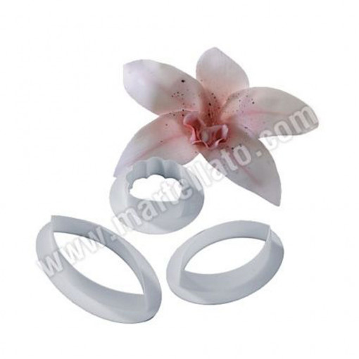 Орхидея Cymbidium - пластмасови резачки Ø 4,1 - 8,5 см, комплект от 3 броя