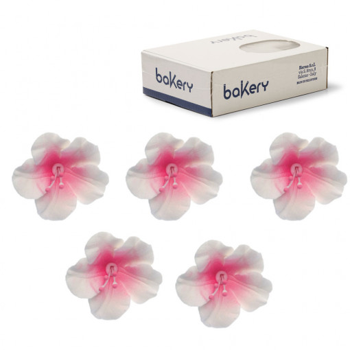 Decor Zahar - Azalee Alb-Roz R 4 cm, 12 buc