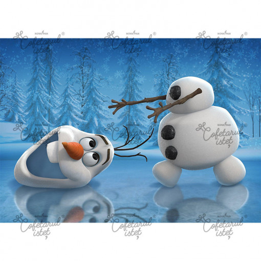 Printed Sugar Paste Frozen Model 1, A4 - Confectioner Istet