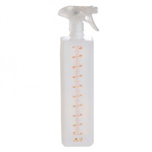 1 Litre Bottle with Spray Bottle for Water or Syrups, 7 x 7 x H 30 cm